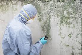 Best Commercial Mold Inspection in Decatur, TX